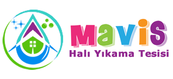 Maviş Halı Yıkama